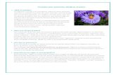 Alergia al polen HGC y CV - Quirónsalud · Microsoft Word - Alergia al polen HGC y CV Author: marian Created Date: 4/25/2016 10:21:07 PM