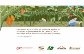 Secuestro de Carbono en Biomasa Aérea encadenacacaoca.info/CDOC-Deployment/documentos/... · 2015. 2. 13. · bajar los temas REDD+ y Adaptación que son parte de la agenda del Cambio