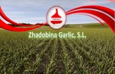 Presentación de PowerPoint - Zhadobina Garlic...2021/04/01  · ACEITE DE GIRASOL REFINADO REFINED SUNFLOWER OIL ADOLSOL Aceite neutro que no modifica el sabor original de los alimentos