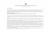 Constitución de la Provincia de Buenos Aireshcdlanus.gob.ar/sites/default/files/const_provincial.pdf · 2018. 4. 25. · Constitución de la Provincia de Buenos Aires Sancionada