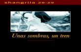 UNAS SOMBRAS, UN TRENaaronrodriguez.es/.../2020/04/Capitulo-Tren-de-Sombras.pdf · 2020. 4. 12. · Tren de sombras, José Luis Guerin, 1997 UNAS SOMBRAS, UN TREN ... En el Reino