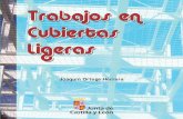 Joaquín Ortega Herrera - AEPSALLa cubiertas ligeras son aquellas que se han construido con materiales que no están fabricados para soportar el transito de personas, ni el acopio