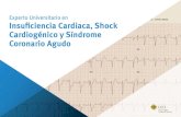 Insuficiencia Cardiaca, Shock Cardiogénico y Síndrome ......Novedades sobre insuficiencia cardiaca, shock cardiogénico y síndrome coronario agudo. ... Explicar las indicaciones