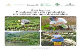 Guía técnica Producción de rambután en sistemas agroforestales · 2021. 3. 22. · Guía técnica producción de rambután en sistemas agroforestales PRESENTACIÓN El proyecto
