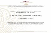 ADMINISTRACIÓN PORTUARIA INTEGRAL DE MANZANILLO, S.A. … · 2021. 6. 29. · convocatoria de licitaciÓn pÚblica nacional electronica para la prestaciÓn del “servicio de administraciÓn