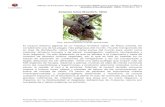 Achatina fulica (Bowdich, 1822) - EncicloVida · 2020. 1. 22. · Método de Evaluación Rápida de Invasividad (MERI) para especies exóticas en México Achatina fulica (Bowdich,