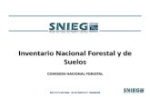 Inventario Nacional Forestal y de Suelos · 2015. 11. 10. · 3. El Inventario Nacional Forestal y de Suelos, como instrumento de política forestal, tiene como objetivo generar información