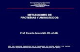 METABOLISMO DE PROTEÍNAS Y AMINOÁCIDOS · 2020. 9. 17. · nitrogenados EXCRE-CIÓN. Pérdida de sustancias útiles Retención de sustancias dañinas Aminoácidos Glucosa Proteínas