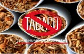 TABACO · 2021. 3. 22. · tabaco Todo contaminante es nocivo para la salud. Eliminar los que dependen de nosotros mismos es una actitud responsable y de autocuidado. Nos legitima