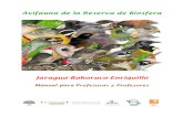 Avifauna de la Reserva de Biosfera - Entreveredas · 2019. 7. 3. · Manual para Profesores Índice La Reserva de la Biosfera Jaragua-Bahoruco-Enriquillo La Importancia de las Aves