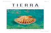 2020 / 3€ TIERRA - La Guía GO! · 2021. 1. 29. · de hoteles, paradores y balnearios de Pontevedra, establecimientos seleccionados y oficinas de turismo. ... Cortázar used to