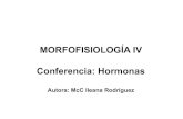 MORFOFISIOLOGÍA IV Conferencia: Hormonas · Hormonas: Concepto, características y clasificación. 2. Ciclo de acción hormonal. Receptores Hormonales. 3. Mecanismosdeacciónhormonal.