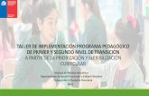 TALLER DE IMPLEMENTACIÓN PROGRAMA ......2021/05/18  · El taller para la implementación del programa pedagógico de primer y segundo nivel de transición a partir de la priorización