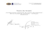 Tesis de Grado - IUA · 2020. 4. 17. · Tesis de Grado: Configuración Eficiente de Ciclos Semafóricos de la Ciudad de Córdoba – Enfoque Sistémico II Declaración de derechos