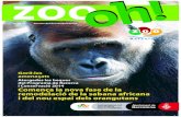 Comença la nova fase de la remodelació de la sabana …...sabana africana i del nou espai dels orangutans 16 Fundació Barcelona Zoo: Recerca i conservació Atorgades les beques