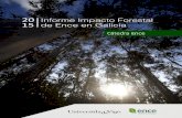 Informe Economico Forestal Ence · 2021. 3. 9. · 4 1 CADENA FORESTAL‐MADERA EN GALICIA El análisis de la cadena forestal-madera en Galicia, se ha basado en el trabajo publicado
