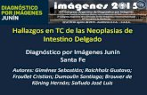Hallazgos en TC de las Neoplasias de Intestino Delgadocongreso.faardit.org.ar/uploads/2015/poster/2015_664_PE... · 2019. 2. 19. · Introducción Las neoplasias de intestino delgado