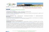 Circular 10/2 10-2.pdfBoletín Oficial del Estado Boletín Oficial de la Junta de Andalucía B.O.J.A.: 15/10/2018 PRESIDENCIA Ley 8/2018, de 8 de octubre, de medidas frente al cambio