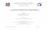 ESTUDIO DE RESISTIVIDAD Y POLARIZACIÓN INDUCIDA ......iii FIGURA A. 18 SEUDOSECCIONES DE POLARIZACIÓN INDUCIDA (ARRIBA) Y RESISTIVIDAD (ABAJO) DE LA LÍNEA 4600