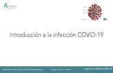 Introducción a la infección COVID-19 - SERAM · 2020. 5. 13. · Imagen en la infección COVID-19 Elaborado por Pablo Valdés Solís (DAIG Radiodiagnóstico) Versión 2. Fecha: