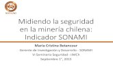 Midiendo la seguridad en la minería chilena: Indicador SONAMI...Midiendo la seguridad en la minería chilena: Indicador SONAMI María Cristina Betancour Gerente de Investigación