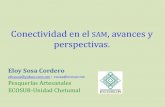 Conectividad en el SAM, avances y perspectivas....2014/10/03  · MX N Otros Honduras 0.35 0.15 0.05 0.01 0.44 Belice, Guatemala 0.15 0.30 0.10 0.01 0.44 RB_SK + BCH 0.15 0.20 0.25