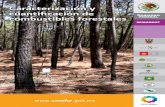 Caracterización y cuantiﬁcación de combustibles forestalesqueimadas.dgi.inpe.br/~rqueimadas/material3os/Evaluac...6 Caracterización y cuantificación de combustibles forestales