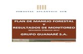 PLAN DE MANEJO FORESTAL Y RESULTADOS DE MONITOREO · 2017. 10. 17. · 2) Madera de calidad para aserrado y debobinado en turnos largos (15-20 años) y sujeta a manejo silvicultural