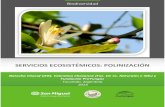 SERVICIOS ECOSISTÉMICOS: POLINIZACIÓN · 2020. 2. 19. · 3 Introducción Los polinizadores proveen un servicio ecosistémico esencial: la polinización. Aproximadamente el 80 %