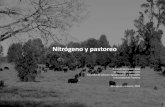 Nitrógeno y pastoreopraderasypasturas.com/rolando/01.-Catedras/08.-Manejo_de... · 2020. 5. 10. · fertilización nitrogenada permite aumentar la producción de ... Mejora la eficiencia
