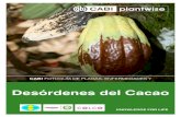 Desórdenes del Cacao - Plantwise · Desórdenes del Cacao. ... • Insectos pequeños, segmentados y de movimiento lento con una capa polvorienta de color blanco lila (violeta) ...