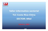 Taller informativo sectorial TLC Costa Rica China SECTOR: Mielagronegocios.catie.ac.cr/images/...TLC_Costa_Rica_China_2009_(Mi… · Febrero, 2009. 1. Productos del Sector. PdProductos