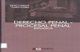 Ministerio Público Fiscalía de la Nación - MPFN | Gobierno del Perú · 2019. 11. 7. · DINO CARLOS CARO CORIA / DERECHO PENAL Y PROCESAL PENAL ESTUDIOS dogmáticas, en beneficio