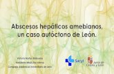 Abscesos hepáticos amebianos, un caso autóctono de León. · 2019. 10. 20. · Caso clínico Varón de 47 años de edad ... Bouza, Absceso hepático amebiano autóctono en España: