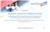 Situación actual de la Rabia en Chile - Admisión 2021 UDLA...Junio 2012 Conchalí Niña de 9 años atacada por pitbull Marzo 2012 Santiago Niña de 2 años atacada por rottweiler