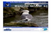 Boletín GIAM 30 - SEO Birdlife · 2018. 5. 4. · Boletín GIAM 30 BOLETíN DEL GRUPO IBÉRICO DE AVES MARINAS Iberian Seabird Group Newsletter Nº30, Inv.2008 Aves marinas en la