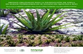 ABONOS ORGÁNICOS PARA LA PRODUCCIÓN ESTADO DE …...1 Abonos orgánicos para la producción de sábila en suelos pedregosos en el estado de Quintana Roo I. INTRODUCCIÓN La sábila