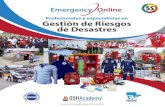 Profesionales y especialistas en Gestión de Riesgos de Desastres · 2020. 2. 5. · Desastres. Brindando servicios al Estado Peruano y compañías privadas diversas. EMERGENCY ONLINE,