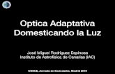 Optica Adaptativa Domesticando la Luz...Esquema de la optica adaptativa en oftalmología Sin OA Con OA Primera imagen del mosaico tricónico humano. Roorda, A. and Williams, D.R.,