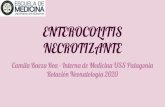 ENTEROCOLITIS NECROTIZANTE - salud infantilEnterocolitis Necrotizante (NEC): Deﬁnición No es simplemente una entidad patológica, sino más bien un espectro de condiciones. Desenlace
