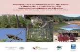 Manual para la identificación de Altos bosques templados de … · 2018. 1. 12. · Altos Valores de Conservación en bosques templados de México 7 “La biodiversidad y los servicios