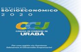 ii - CCURABA...dinámica en materia económica y con epicentro en Turbo y Apartadó, siendo el cultivo de banano su principal renglón; y la zona norte, con epicentro en Necoclí y