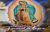 OUR LADY OF Guadalupe2020/12/06  · 10:45 a.m. Danza de los Matachines (En el Estacionamiento de la Catedral) “Matachines” Sacred Dance (In the Cathedral Parking Lot) 11:45 a.m.