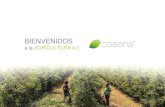 ASAJA Jaén - Asociación Agraria de Jóvenes Agricultores de ...2018/07/01  · Punto marchitez Agua útil Procesamiento automático: Convierte los datos en información de valor.