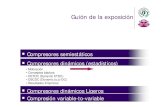 Guión de la exposición - UDC · 2012. 1. 17. · Antonio Fariña Guión de la exposición Compresores semiestáticos Compresores dinámicos (estadísticos) • Motivación • Conceptos