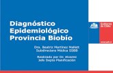 Diagnóstico Epidemiológico Provincia Biobío · 2020. 3. 19. · Sist. Circulario 28,7% Tumores 22,7% Traumatismos 11,0% Sist. Resp. 8,9% Sist. Digestivo 7,2% Enf. Endocrinas 4,0%