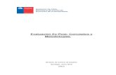 Evaluación Ex-Post: Conceptos y Metodologías. · 2021. 6. 25. · METODOLOGÍAS E INSTRUMENTOS ... a través de la aplicación de técnicas e instrumentos de evaluación y control
