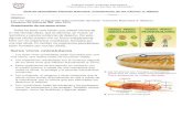 Guía de aprendizaje Ciencias Naturales “Clasificación de las …colegiopaz.cl/web/ACTIVIDADES/5/ciencias/la_celula.pdf · 2020. 6. 8. · membranas (organelos membranosos) que