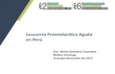Leucemia Promielocitica Aguda en Perú - Auna · 2017. 11. 24. · Chiclayo y Trujillo Lima ... in Brazil, it could be possible to send DNA samples!. •Aspectos claves clínicos