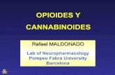 OPIOIDES Y CANNABINOIDES · 2018. 1. 30. · CANNABINOIDES Rafael MALDONADO Lab of Neuropharmacology Pompeu Fabra University Barcelona . Cannabis sativa